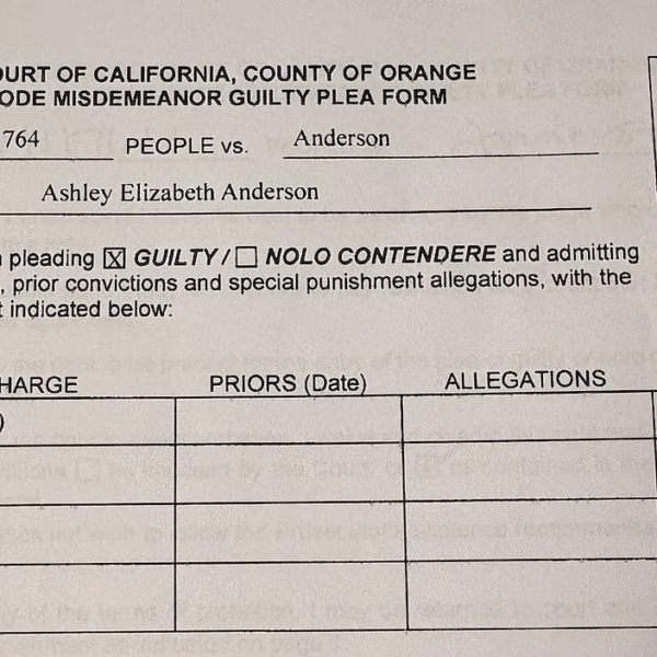 NMUSD Trustee Ashley Anderson Revealed to Have Plead Guilty to Hit and Run Car Accident on Night She was Sworn in